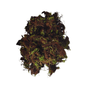 MUSGO GRAMINHA DESIDRATADO-500 GRAMAS