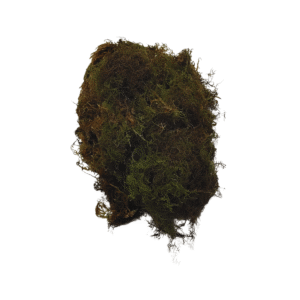 MUSGO LINQUEM DESIDRATADO-700 GRAMAS