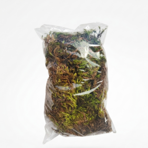 Musgo verde graminha - 50 gramas